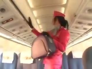 Bewitching stewardess sucking peter before cunnilingus