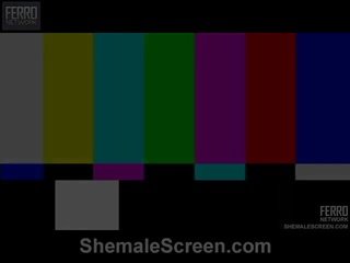 Shemale skjermen proudly offers isabele, patricia, rochele i xxx klipp scene