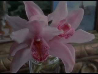 Дика orchidee брудна фільм сцени 1989, безкоштовно знаменитість hd для дорослих відео 0f