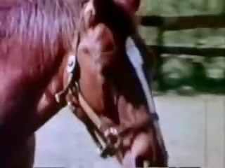 Kinkorama 1976 nga lasse braun & gerd wasmund: falas i rritur video e8